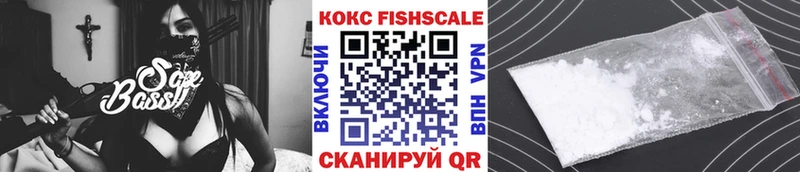 блэк спрут зеркало  Ильский  Кокаин Эквадор 