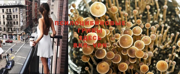 бошки Новозыбков