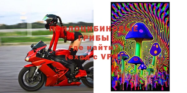 бошки Новозыбков