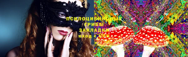 бошки Новозыбков