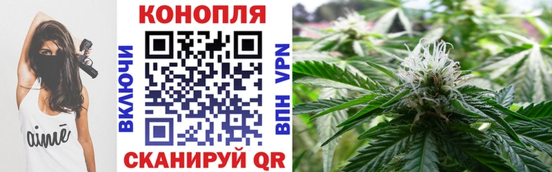 ссылка на мегу ТОР  Ильский  Бошки марихуана планчик 